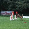 agility 2011-09